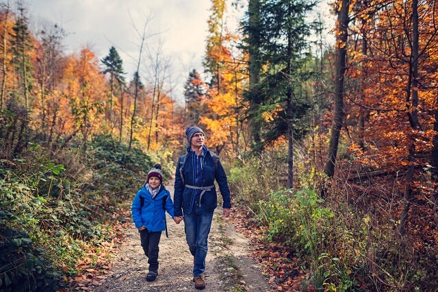 Père et fils explorant la forêt près de leur condo locatif Espace W à Mirabel